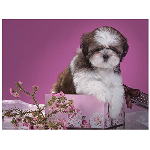 Diamond Painting Set,Shih Tzu Hund Diy 5D Diamant Malerei Kreuzstich Diamant Stickerei Niedlichen Haustier Bohrer Strass 3D Bild Mosaik Diamant 40x50cm von Homry