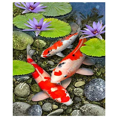 Warreal DIY 5D Diamant Painting,Koi Muster Diamant Malerei Lotusblatt Goldfisch Segen Fisch DIY Diamant Stickerei Kreuzstich Mosaik Bild Dekor 40x50cm von Warreal