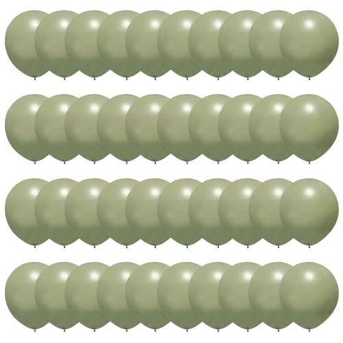 Sage Green Balloons with Ribbon, 60PCS 12inch Balloon Sage Green Helium Balloons Sage Green Balloon Arch Kit Latex Balloons Party Balloons for Birthday Party Wedding Graduation Anniversary Decorations von Wasaii