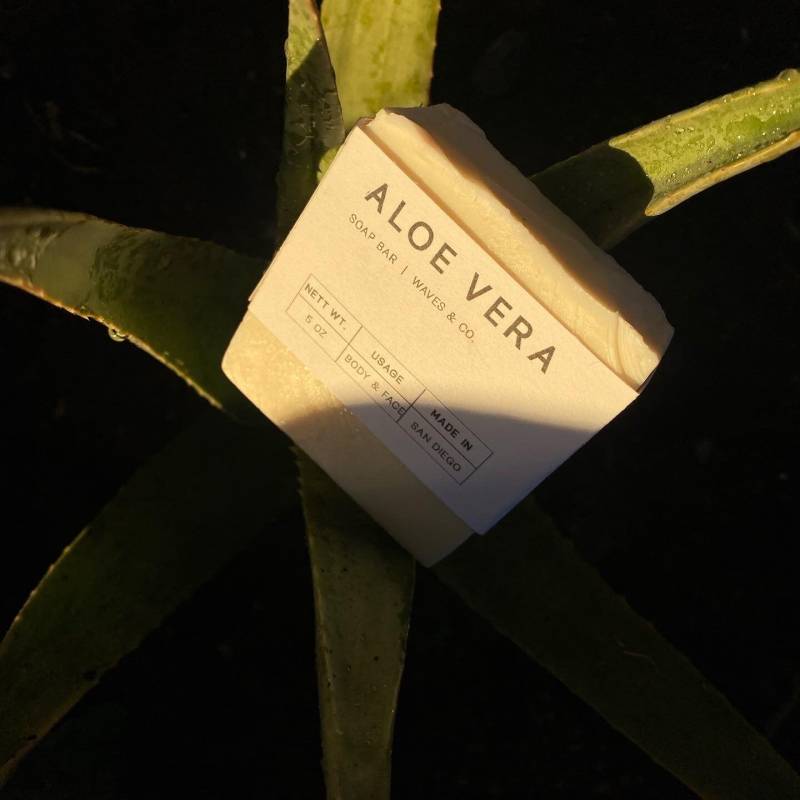 Aloe Vera von WavesanddCo