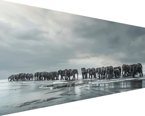 Malen Nach Zahlen Erwachsene Tier Malen Nach Zahlen Elefant, DIY Paint by Numbers Adult Kinder Mit Pinseln und Acrylfarbe Malen Nach Zahlen Set für Geschenke und Home Haus Deko(Rahmenlos,60x120cm) Q-5 von Waxonle