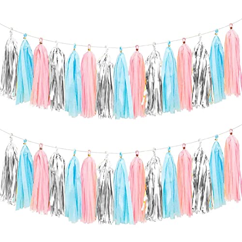 15 Stück Rosa Blau Quaste Girlande，Seidenpapier Tassel Girlande für Baby Dusche Deko,Geburtstag,Hochzeit Party Dekoration von We Moment Zone