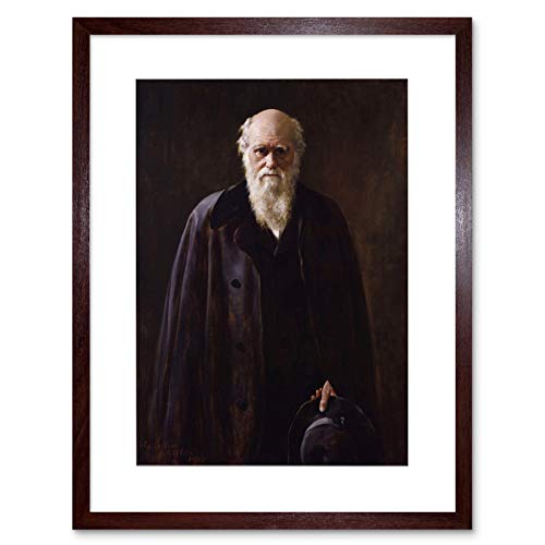 Wee Blue Coo PAINTING COLLIER PORTRAIT SCIENTIST CHARLES DARWIN FRAMED ART PRINT F12X11414 von Wee Blue Coo