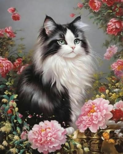 Weiniuniu 5D DIY Diamond Painting Kit Pfingstrose Blumentier Katze Kristall-Strasssteinen Bilder Set Diamond Arts Craft Malerei Erwachsene Home Wanddekoration 40x50 cm von Weiniuniu