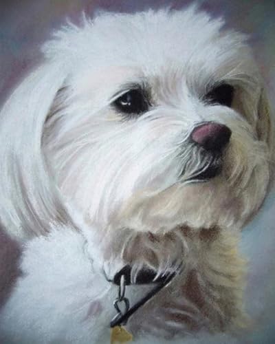 Weiniuniu 5D DIY Diamond Painting Kit Shih Tzu Kristall-Strasssteinen Bilder Set Diamond Arts Craft Malerei Erwachsene Home Wanddekoration 40x50 cm von Weiniuniu