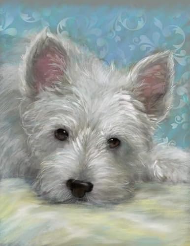 Weiniuniu 5D DIY Diamond Painting Kit West Highland White Terrier Kristall-Strasssteinen Bilder Set Diamond Arts Craft Malerei Erwachsene Home Wanddekoration 40x50 cm von Weiniuniu