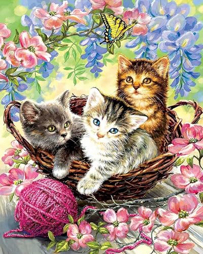 Weiniuniu 5D DIY Diamond Painting Kit tierische süße Katze Kristall-Strasssteinen Bilder Set Diamond Arts Craft Malerei Erwachsene Home Wanddekoration 40x50 cm von Weiniuniu