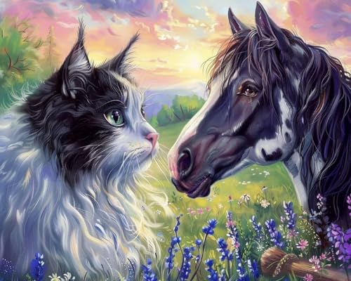 Weiniuniu 5D-Diamant-Malset Tiere Katze und Pferd DIY Malen Nach Zahlen Erwachsene und Kinder runde Strassmalerei Bilder Home Decor 40x50 cm von Weiniuniu