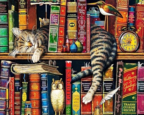 Weiniuniu5D DIY Diamond Painting KitBücherregal Katze Kristall-Strasssteinen Bilder Set Diamond Arts Craft Malerei Erwachsene Home Wanddekoration 40x50 cm von Weiniuniu