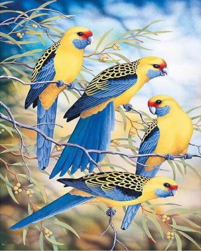 Weiniuniu5D DIY Diamond Painting Kitgelber Vogel Kristall-Strasssteinen Bilder Set Diamond Arts Craft Malerei Erwachsene Home Wanddekoration 40x50 cm von Weiniuniu