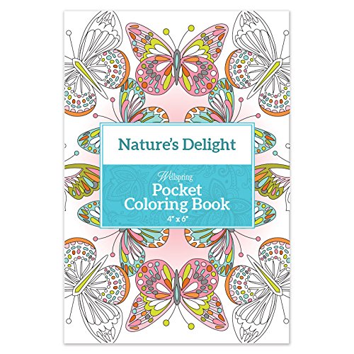 Wellspring Gift Pocket Book 4 x 6-inch, Multi-Colour, 0.64 x 10.16 x 15.24 cm von Wellspring