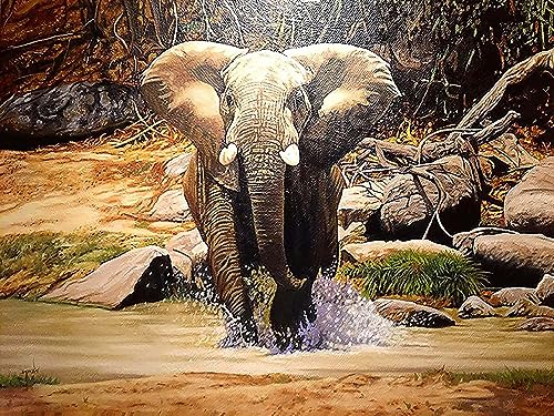 Wergund Diamond Painting Elefant, Diamant Painting Bilder Tier, DIY Cross Stickerei Malerei Kits,Wohnzimmer Schlafzimmer Büro Wand Und Eingang Dekoration（30x40cm）-107 von Wergund