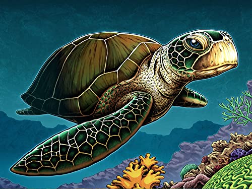 Wergund Diamond Painting Schildkröte, Diamant Painting Bilder Tiere, DIY Cross Stickerei Malerei Kits,Wohnzimmer Schlafzimmer Büro Wand Und Eingang Dekoration-30x40cm… von Wergund