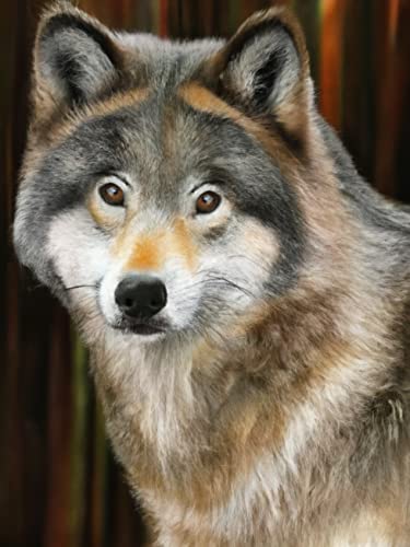 Wergund Diamond Painting Wolf, Diamant Painting Bilder Tier, DIY Cross Stickerei Malerei Kits,Wohnzimmer Schlafzimmer Büro Wand Und Eingang Dekoration-30x40cm von Wergund