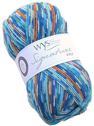 WYS Bluefaced Leicester Wolle Signature 4ply Sock Yarn 844 - Kingfisher, 100g Wolle, Sockenwolle musterbildend mit Blue Faced Leicester Wool von West Yorkshire Spinners