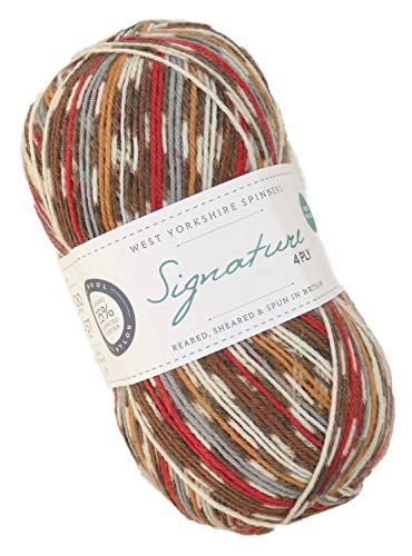 West Yorkshire Spinners 100g Sockenwolle Weihnachten, musterbildend, WYS Signature 4ply Sock Yarn 941 Robin, Norweger Muster Look von West Yorkshire Spinners