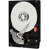 Western Digital Blue (32 MB 7200 U/min) 500 GB interne HDD-Festplatte von Western Digital