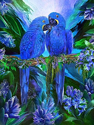 Diamant Painting Bilder,Blauer Papagei 5D Diamond Painting,DIY Cross Stitch Malerei Kits,Diamant Malerei Nach Zahlen Full Drill Kristall Set,Wohnzimmer Wand Und Eingang Dekoration Geschenk 40x50cm von Weweart