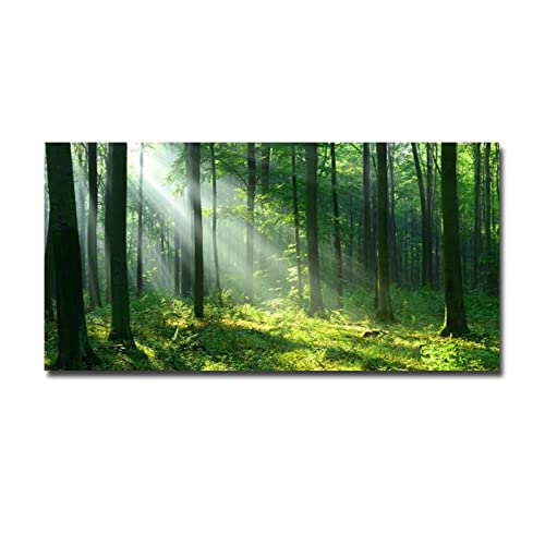 Whoonng Diamond Painting Wald Sonnenschein, DIY 5D Diamant Painting Bilder Malen nach Zahlen Erwachsene Anfänger, Diamond Painting Zubehör Voll Set, Groß Diamant Malerei, Home Décor Gemälde, 70x140cm von Whoonng