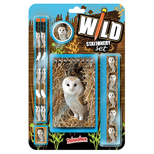 Deluxebase Wild Stationery Set - Eule niedlichen Stationären Schulsets für Mädchen und Jungen enthalten 2 Bleistifte, Radiergummi, Spitzer, Lineal und Notizbuch von Deluxebase