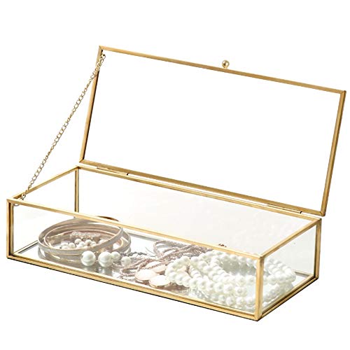 Schmuckschatulle aus HD-Glas, Aufbewahrungsbox für Ohrringe und Ringe, Schmuckdisplay, Organizer, Flanell-Tabletthalter, Geschenk-Aufbewahrungsbox (transparent, 23 x 10 x 5,5 cm) von Windmilne