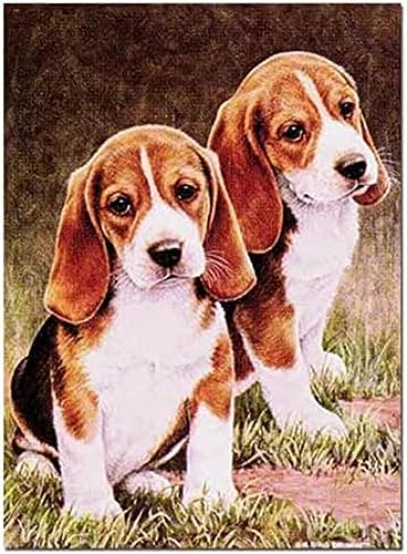 Wingkin Kreuzstich Stickpackungen Beagle 11CT Erwachsene Sticken Set,DIY Stickbilder Vorgedruckt Kreuzstich für Anfänger Home Decor （40x50cm ） von Wingkin