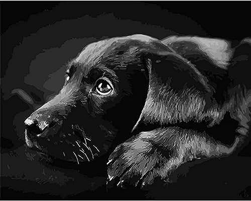 Wingkin Kreuzstich Stickpackungen Schwarzer Labrador 11CT Erwachsene Sticken Set,DIY Stickbilder Vorgedruckt Kreuzstich für Anfänger Home Decor （40x50cm ） von Wingkin