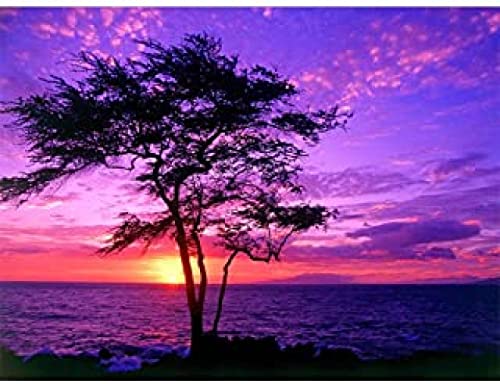 Wingkin Kreuzstich Stickpackungen Sonnenuntergang Baum lila Wolken 11CT Erwachsene Sticken Set,DIY Stickbilder Vorgedruckt Kreuzstich für Anfänger Home Decor （40x50cm ） von Wingkin