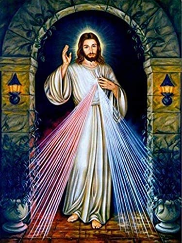 Wingkin Kreuzstich Stickpackungen christlicher Jesus 11CT Erwachsene Sticken Set,DIY Stickbilder Vorgedruckt Kreuzstich für Anfänger Home Decor （40x50cm ） von Wingkin