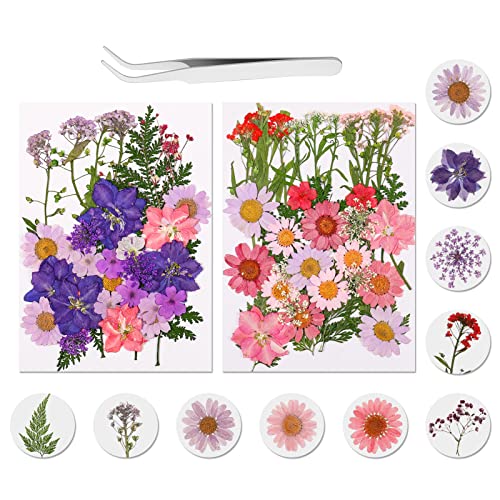 Winkwinky 69 Stück Natürliche Getrocknete Blumen, Trockenblumen Gepresste Blumen mit Pinzette, Getrocknete Blüten Blätter für Epoxidharz Seife DIY Harz Scrapbooking Basteln Zubehör von Winkwinky