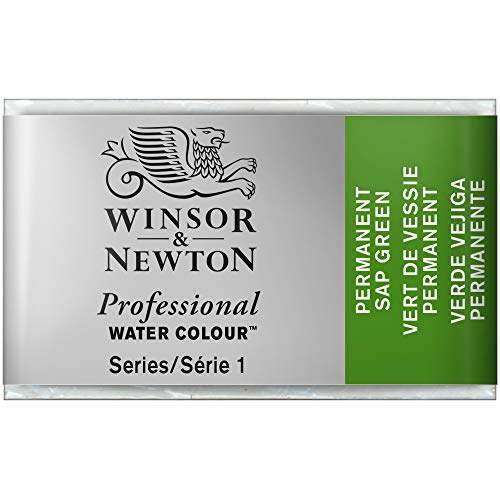 Winsor & Newton 0100503 Professional Aquarellfarbe, lebendige Wasserfarben in Künstlerqualität, hohe Farbbrillanz & Leuchtkraft, lichtecht, Archivqualität, ganzer Napf - Permanentsaftgrün von Winsor & Newton