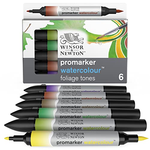 Winsor & Newton 0290169​ ProMarker Aquarellmarker - 2 Spitzen, Pinsel- und feiner Spitze, lichtecht, hochpigmentierte Aquarellfarben im Marker für Kalligrafie, Zeichnungen, 6 Farben Set Blatt Töne von Winsor & Newton