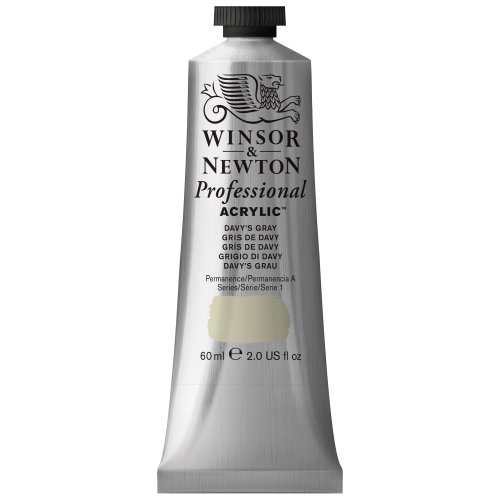 Winsor & Newton 2320217 Professional Acrylfarbe in Künstlerqualität, hohe Farbbrillanz & Deckkraft, Archivqualität, 60ml Tube - Davy's Grau von Winsor & Newton