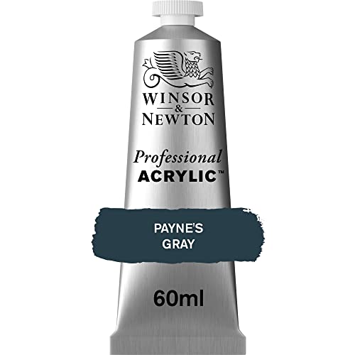 Winsor & Newton 2320465 Professional Acrylfarbe in Künstlerqualität, hohe Farbbrillanz & Deckkraft, Archivqualität, 60ml Tube - Payne's Grau von Winsor & Newton