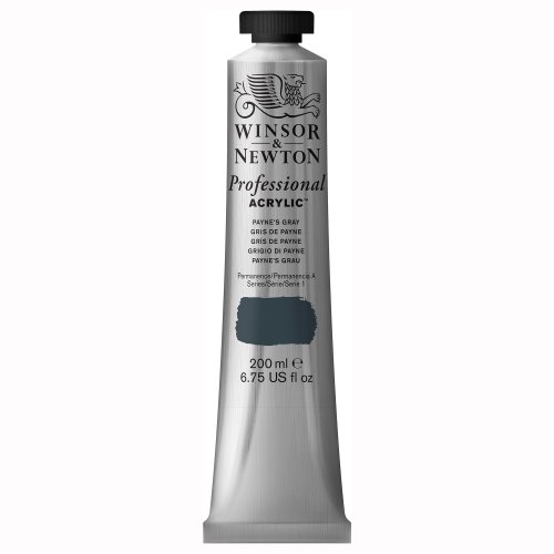 Winsor & Newton 2337465 Professional Acrylfarbe in Künstlerqualität, hohe Farbbrillanz & Deckkraft, Archivqualität, 200ml Tube - Payne's Grau von Winsor & Newton