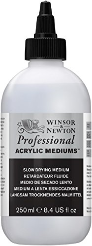 Winsor & Newton 3040932 Langsam Trocknendes Medium - Trocknungsverzögerer für Acrylfarben - 250 ml Flasche von Winsor & Newton