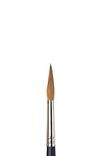 Winsor & Newton 5068008 Professional Sable Aquarell Pinsel aus Kolinski Marderhaar für ausgezeichnete Farbtragekapazität, Sprungkraft, Punktgenauigkeit - Rund Spitz Nr. 8 - 4,9mm - kurzer Stiel von Winsor & Newton