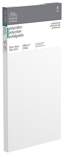 Winsor & Newton 6206009 Professional Keilrahmen aus Baumwollmischgewebe, 385 g/m², 3-fach grundiert, mittlere Körnung, ideal für die Ölfarben und Acrylfarben - 20x40cm von Winsor & Newton