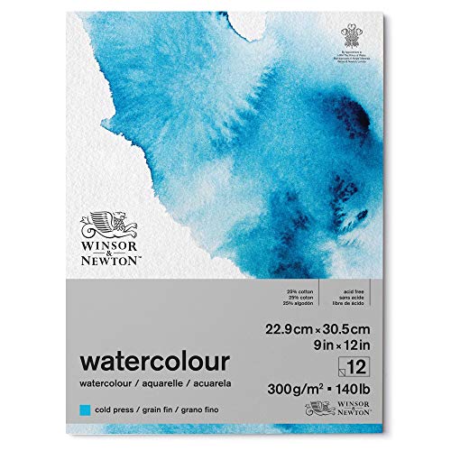 Winsor & Newton 6667002 Classic Aquarellpapier im Block - 12 Blatt 22,9 x 30,5cm , 300g/m²,geleimt, kaltgepresstes, leicht texturiertes weißes Papier in archivierbarer Qualität, gilbbeständig von Winsor & Newton