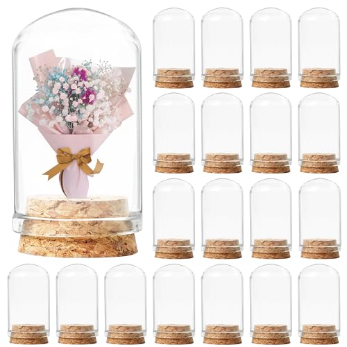 Winter Shore 9 ml Glasfläschchen mit Korken [20er-Pack] - Leere Phiolen zum Befüllen für Pflanzen, Partygeschenke, Blumen, Kleine Figuren & Winzige Dekorationen - Glaskuppel Klein Deko von Winter Shore