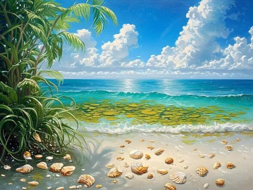 5D DIY Diamond Painting Erwachsene Strandmuscheln Diamond Painting Kits, Diamond Painting Kinder, Crystal Art Stickerei Kreuzstich Home Wall Décor, Geschenke für Frauen Weihnachtsdeko 30x20cm t-3808 von Wionheng