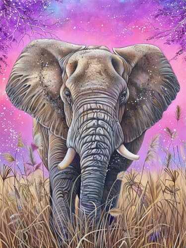 Malen Nach Zahlen Erwachsene Tier Malen Nach Zahlen Elefant Malen Nach Zahlen ab 7 8 9 10 Jahre Mädchen Geschenk, DIY Paint by Numbers Groß Leinwand, 3 Pinsel und Acryl Farben Wanddeko 35x50cm t-841 von Wionheng