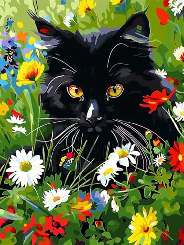 Malen Nach Zahlen Erwachsene schwarze Katze Malen Nach Zahlen Blume Malen Nach Zahlen ab 7 8 9 10 Jahre Mädchen Geschenk, Paint by Numbers Leinwand, 3 Pinsel und Acryl Farben Wanddeko 35x50cm t-3448 von Wionheng