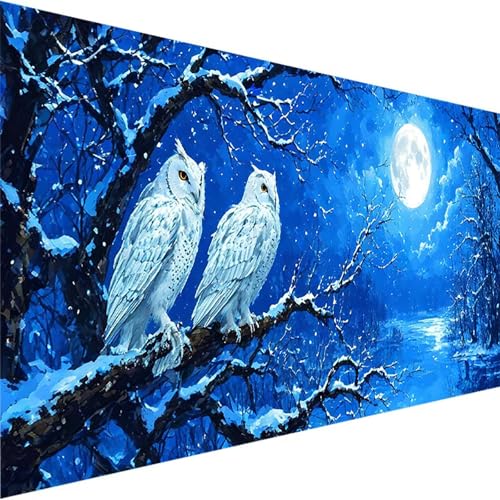 Malen Nach Zahlen Erwachsene, Mond Malen Nach Zahlen Kinder Bastelset Erwachsene, DIY Eule mit Pinseln und Acrylfarben Handgemalt Ölgemälde Leinwand für Home Wand Decor, Ohne Rahmen (60x120cm) 8-1 von Wohoaqig