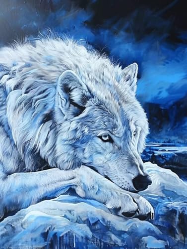 Malen nach Zahlen Erwachsene Tier Malen Nach Zahlen ab 9 Jahre Mädchen, Malen Nach Zahlen Wolf mit Pinseln und Acrylfarbe Malen-Nach-Zahlen Kinder DIY Paint By Numbers Wanddeko Geschenk 60x80cm -5o46 von Wohoaqig