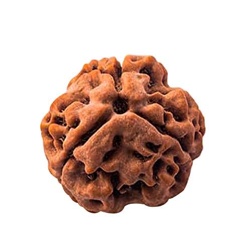 Wonder Care – Original indonesische Rudraksha mit zehn Gesichtern, 9 Mukhi Rudraksha-Perlen, natürliche Rudra, religiöse Rosenkranzperle von Wonder Care