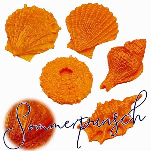 WonderWax Muschel Set Sommerpunsch Wachsmelt Duftwachs Raumduft für Duftlampen Soja Wachs Melts Duftmelt Aroma Wellnes Kerzen Wärmer Wax Tarts von WonderWax