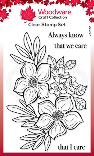 Woodware JGS707 Stamp Jane Gill – Clear Magic Stempel-Set – Blooming Lovely, Photopolymer, durchsichtig, 4 x 6 inches von Woodware