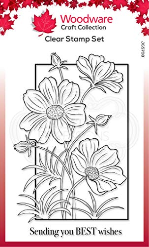 Woodware JGS708 Jane Gill – Clear Magic Stempel-Set – Cosmos Collection, durchsichtig, 4 x 6 inches von Woodware