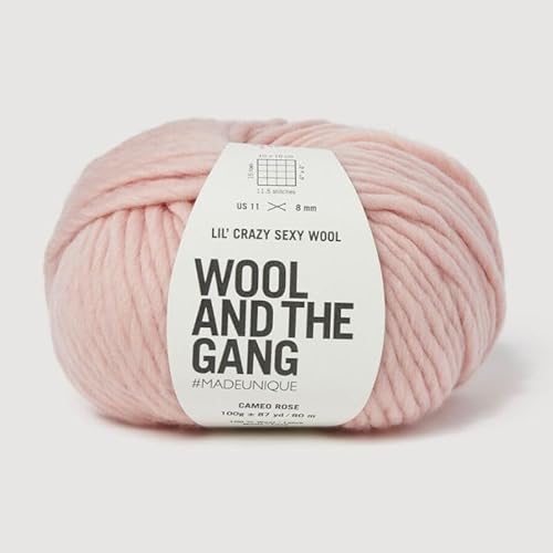 Wool and the Gang, Lil' Crazy Sexy Wolle, Cameo Rose, 100 g, Chunky von Wool and the Gang